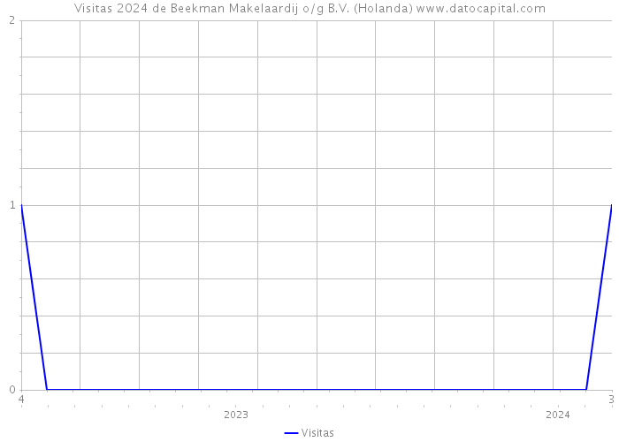 Visitas 2024 de Beekman Makelaardij o/g B.V. (Holanda) 