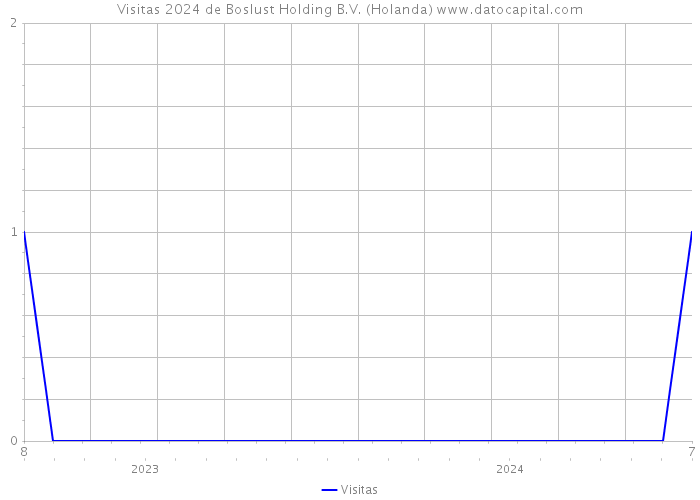 Visitas 2024 de Boslust Holding B.V. (Holanda) 