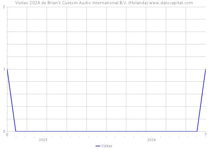 Visitas 2024 de Brian's Custom Audio International B.V. (Holanda) 