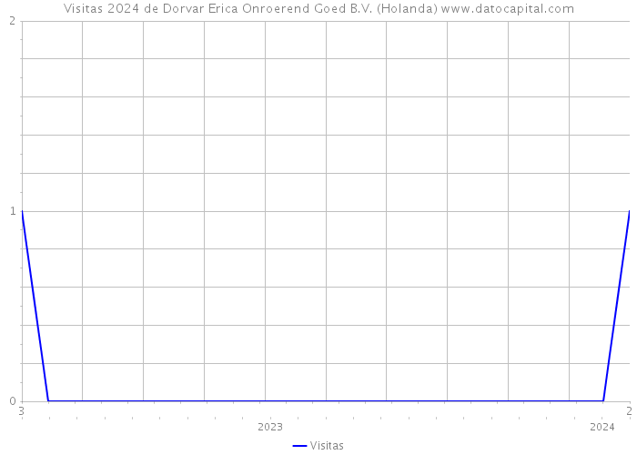 Visitas 2024 de Dorvar Erica Onroerend Goed B.V. (Holanda) 