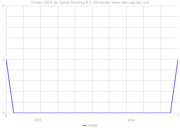 Visitas 2024 de Gunes Holding B.V. (Holanda) 