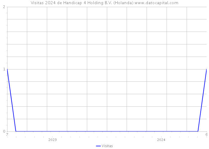 Visitas 2024 de Handicap 4 Holding B.V. (Holanda) 