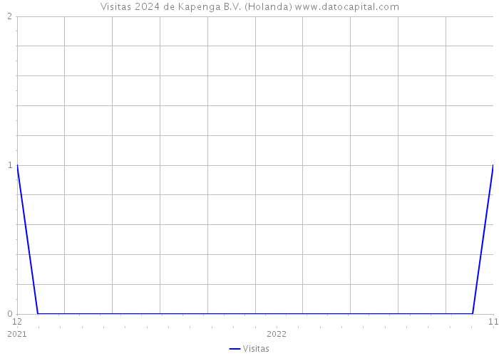 Visitas 2024 de Kapenga B.V. (Holanda) 