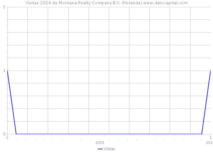 Visitas 2024 de Montana Realty Company B.V. (Holanda) 
