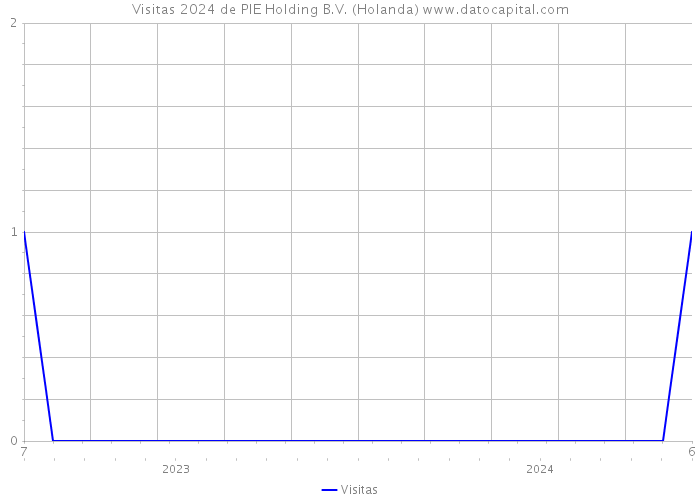 Visitas 2024 de PIE Holding B.V. (Holanda) 