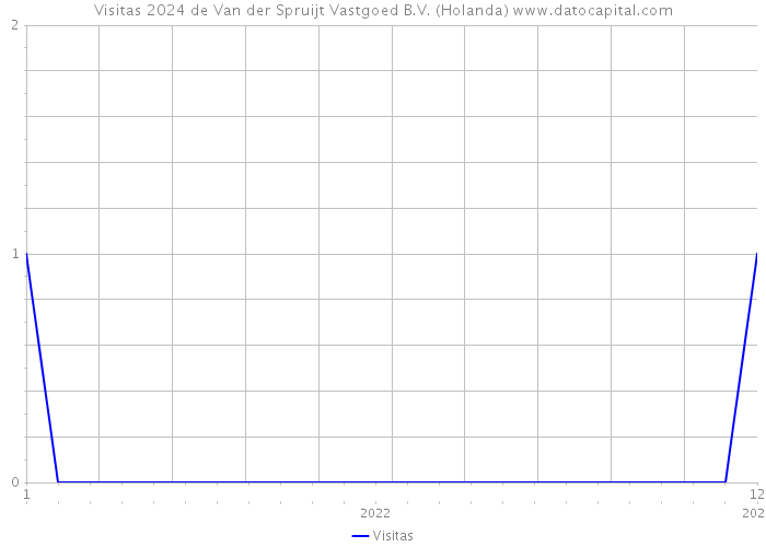 Visitas 2024 de Van der Spruijt Vastgoed B.V. (Holanda) 