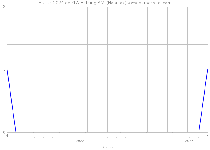 Visitas 2024 de YLA Holding B.V. (Holanda) 