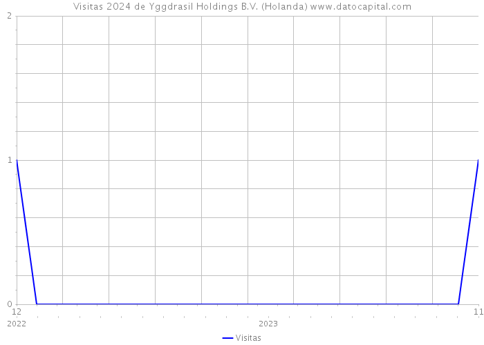 Visitas 2024 de Yggdrasil Holdings B.V. (Holanda) 