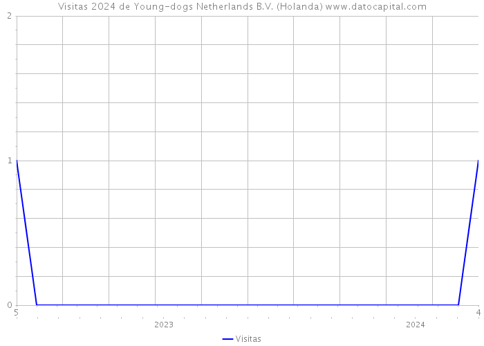 Visitas 2024 de Young-dogs Netherlands B.V. (Holanda) 