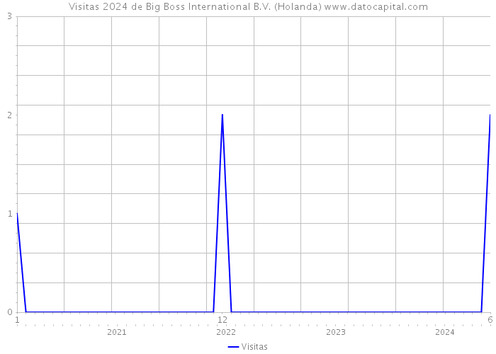 Visitas 2024 de Big Boss International B.V. (Holanda) 