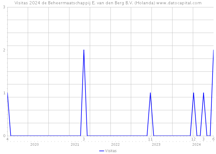 Visitas 2024 de Beheermaatschappij E. van den Berg B.V. (Holanda) 