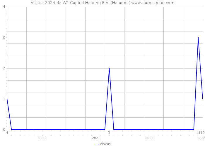 Visitas 2024 de W2 Capital Holding B.V. (Holanda) 