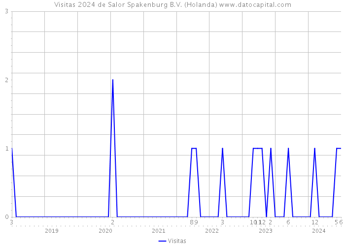 Visitas 2024 de Salor Spakenburg B.V. (Holanda) 