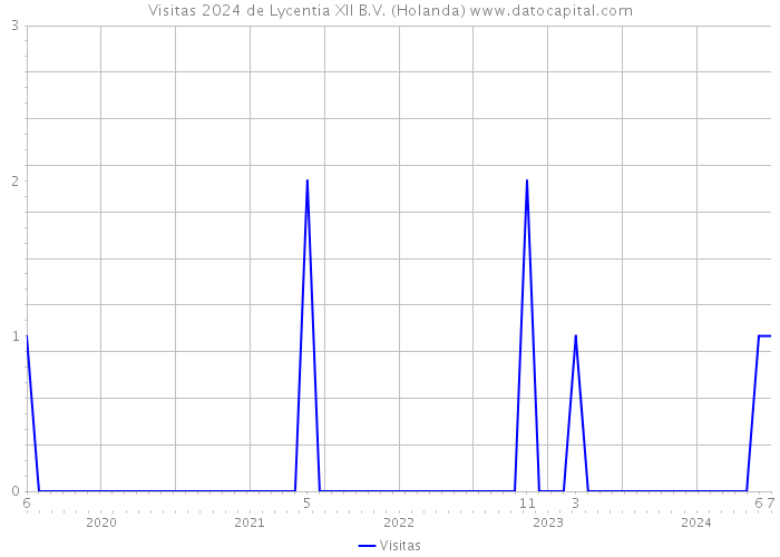 Visitas 2024 de Lycentia XII B.V. (Holanda) 