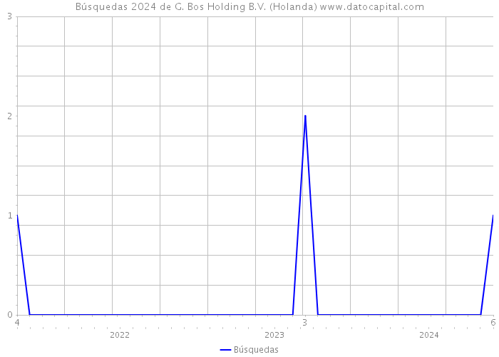 Búsquedas 2024 de G. Bos Holding B.V. (Holanda) 