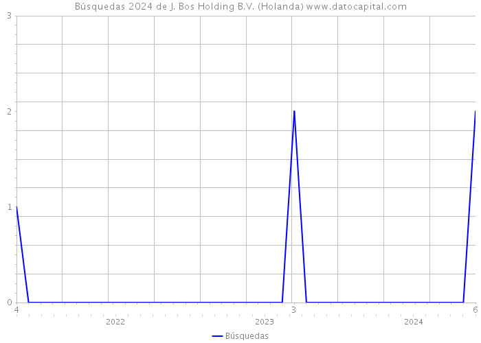 Búsquedas 2024 de J. Bos Holding B.V. (Holanda) 