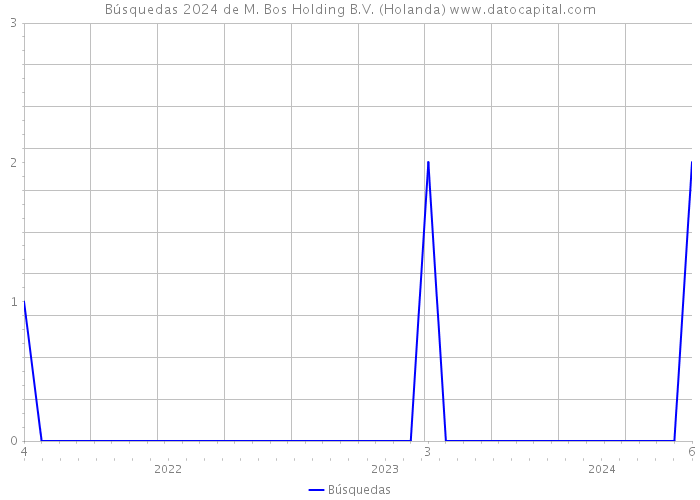 Búsquedas 2024 de M. Bos Holding B.V. (Holanda) 
