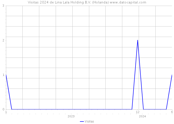 Visitas 2024 de Lina Lala Holding B.V. (Holanda) 