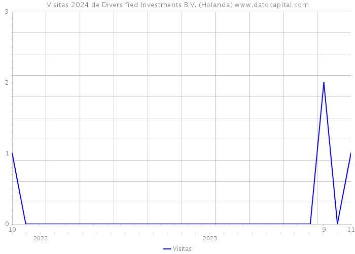 Visitas 2024 de Diversified Investments B.V. (Holanda) 