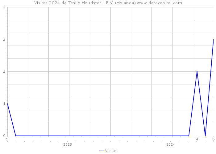 Visitas 2024 de Teslin Houdster II B.V. (Holanda) 