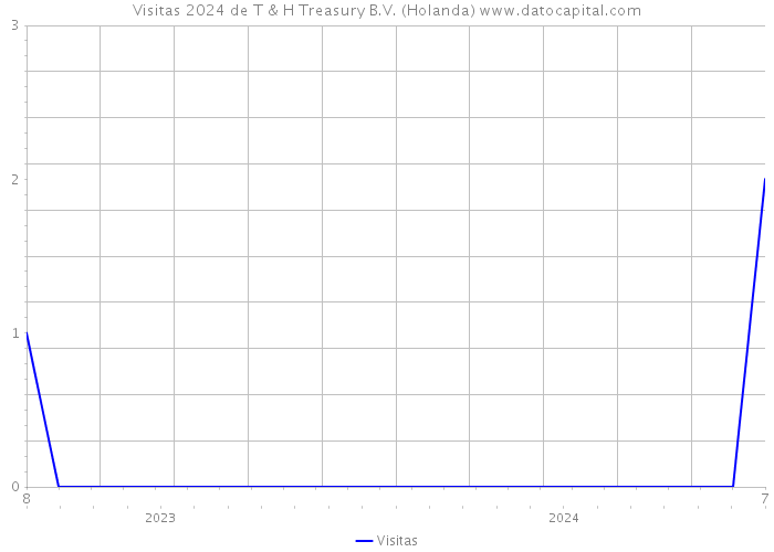 Visitas 2024 de T & H Treasury B.V. (Holanda) 