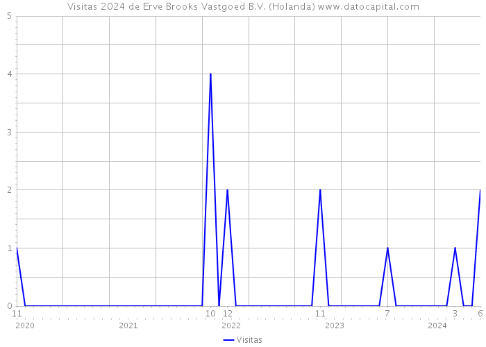 Visitas 2024 de Erve Brooks Vastgoed B.V. (Holanda) 