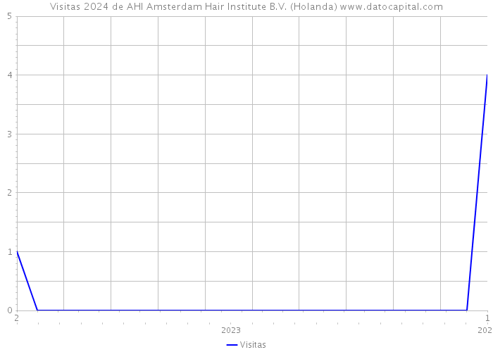 Visitas 2024 de AHI Amsterdam Hair Institute B.V. (Holanda) 