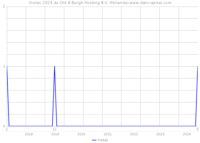 Visitas 2024 de Old & Burgh Holding B.V. (Holanda) 