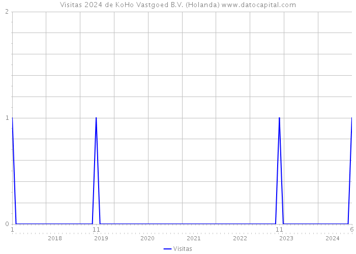 Visitas 2024 de KoHo Vastgoed B.V. (Holanda) 