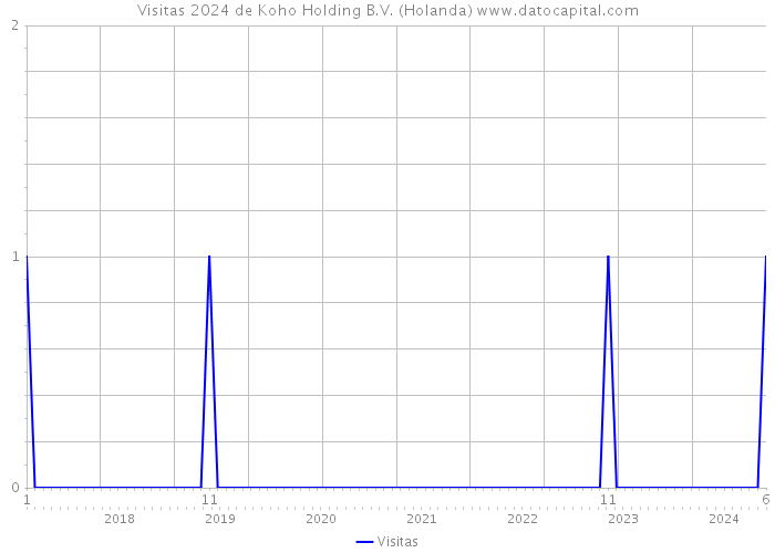 Visitas 2024 de Koho Holding B.V. (Holanda) 