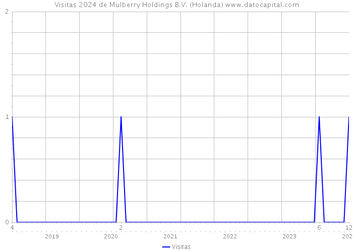 Visitas 2024 de Mulberry Holdings B.V. (Holanda) 
