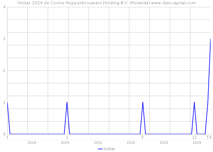 Visitas 2024 de Corine Hoppenbrouwers Holding B.V. (Holanda) 