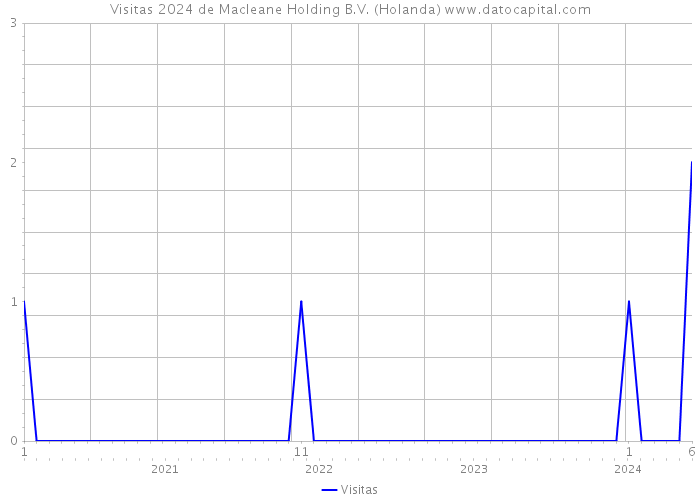 Visitas 2024 de Macleane Holding B.V. (Holanda) 