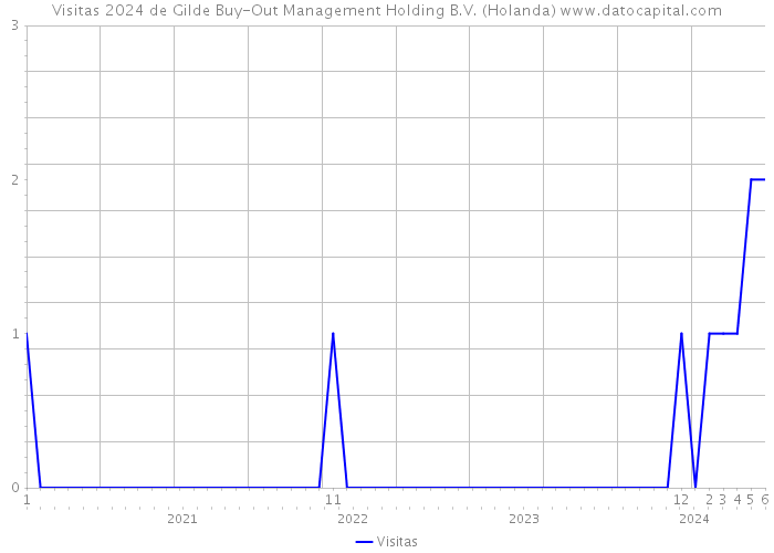 Visitas 2024 de Gilde Buy-Out Management Holding B.V. (Holanda) 