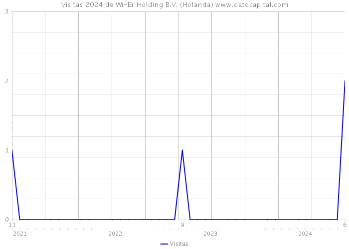 Visitas 2024 de Wi-Er Holding B.V. (Holanda) 