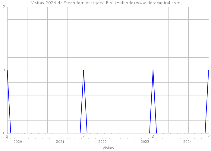 Visitas 2024 de Steendam Vastgoed B.V. (Holanda) 