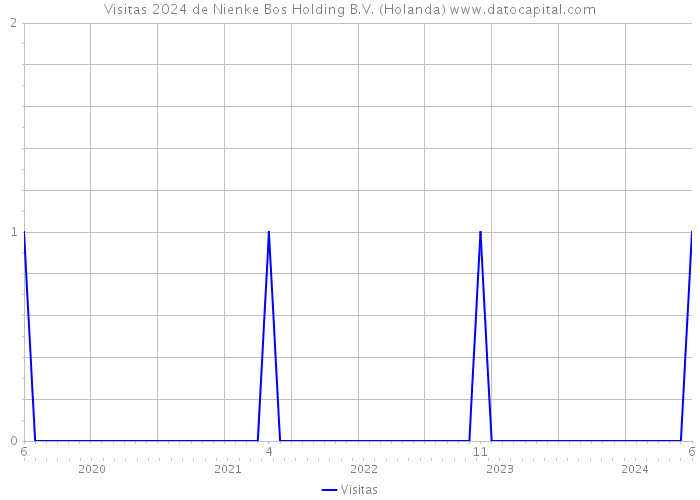 Visitas 2024 de Nienke Bos Holding B.V. (Holanda) 