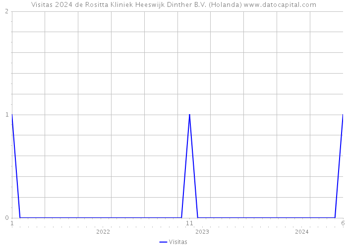 Visitas 2024 de Rositta Kliniek Heeswijk Dinther B.V. (Holanda) 