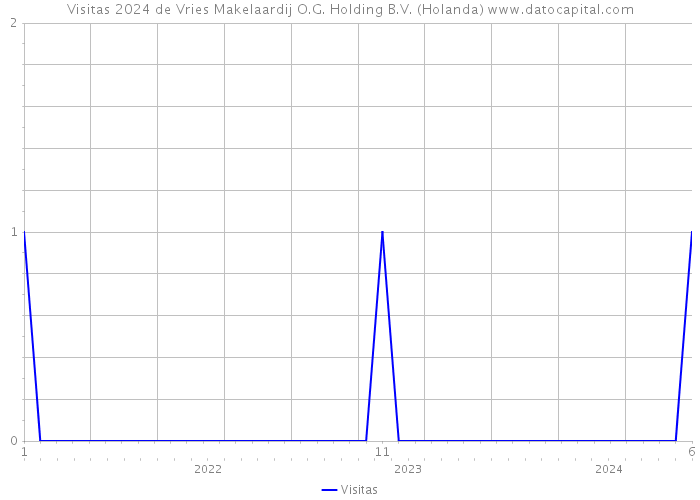 Visitas 2024 de Vries Makelaardij O.G. Holding B.V. (Holanda) 