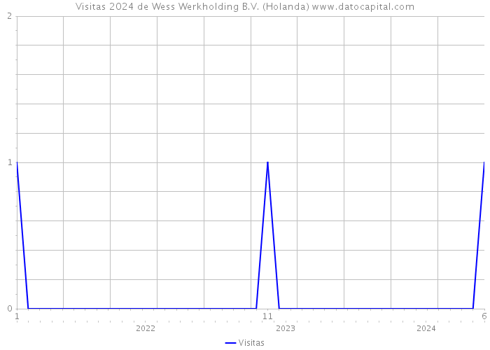 Visitas 2024 de Wess Werkholding B.V. (Holanda) 