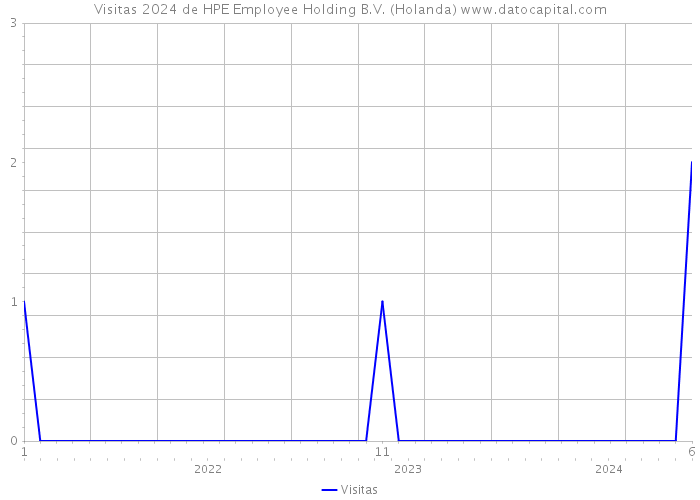 Visitas 2024 de HPE Employee Holding B.V. (Holanda) 