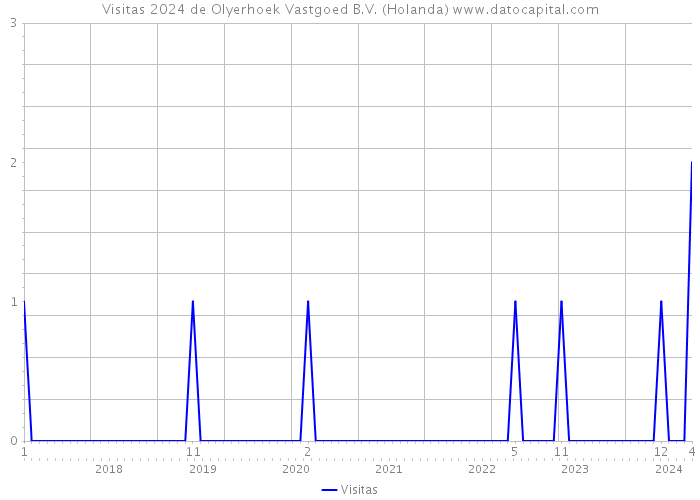 Visitas 2024 de Olyerhoek Vastgoed B.V. (Holanda) 