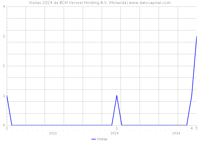 Visitas 2024 de BCH Vervest Holding B.V. (Holanda) 