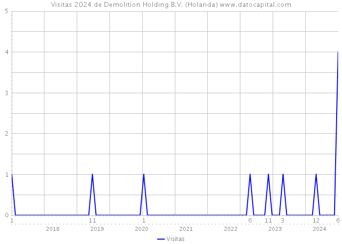 Visitas 2024 de Demolition Holding B.V. (Holanda) 