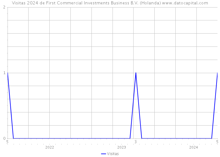 Visitas 2024 de First Commercial Investments Business B.V. (Holanda) 