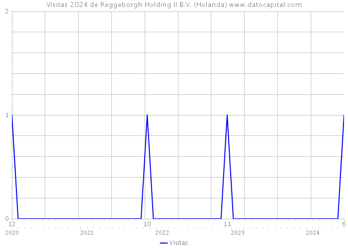 Visitas 2024 de Reggeborgh Holding II B.V. (Holanda) 