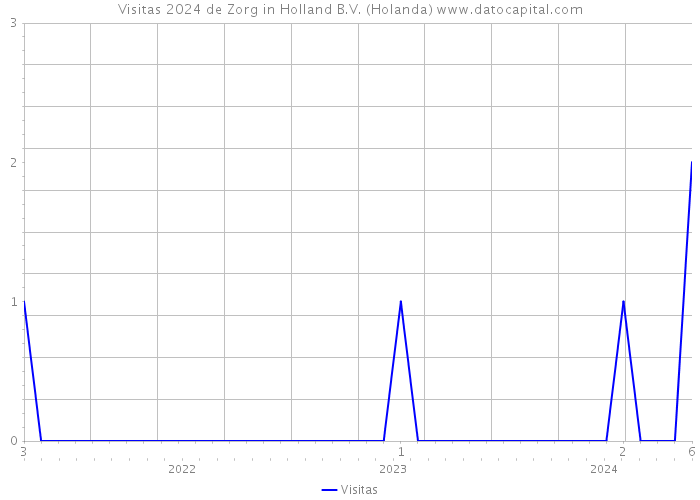 Visitas 2024 de Zorg in Holland B.V. (Holanda) 