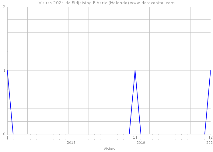 Visitas 2024 de Bidjaising Biharie (Holanda) 