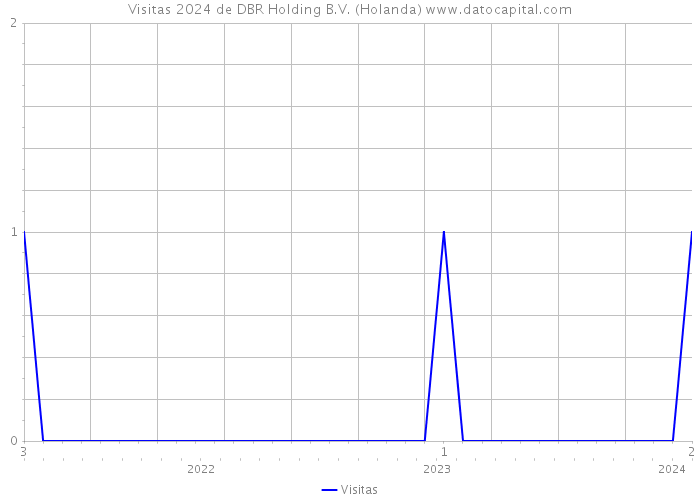 Visitas 2024 de DBR Holding B.V. (Holanda) 