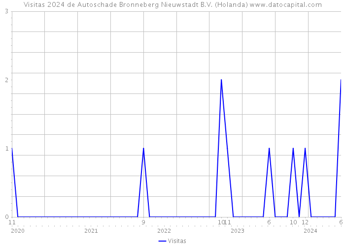 Visitas 2024 de Autoschade Bronneberg Nieuwstadt B.V. (Holanda) 